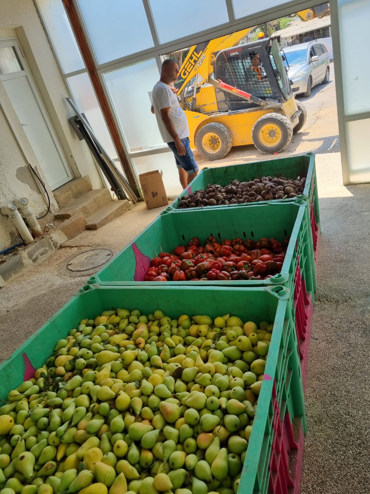 WhatsApp Image 2021-08-08 at 00.09.06