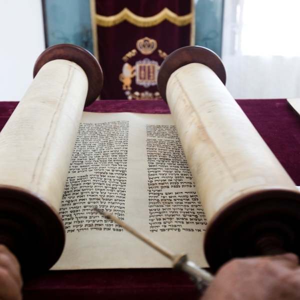 יניב בוזגלו