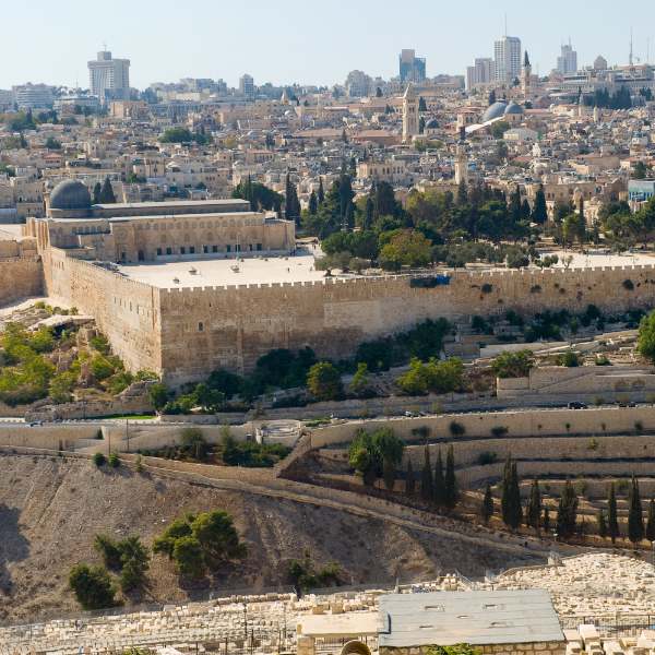 יניב בוזגלו הר הבית